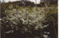/album/fotogaleria-campodelosbaldiosmundorural/ref75577los-baldios-002-jpg/